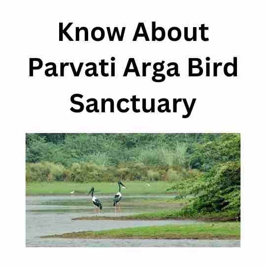 Parvati Arga Bird Sanctuary